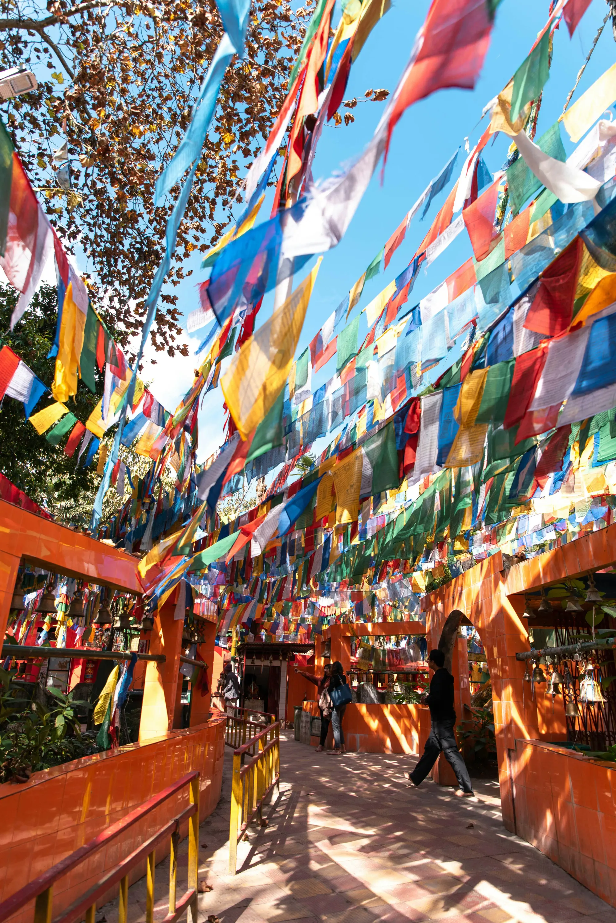 The Happiest Countries In the World 2026